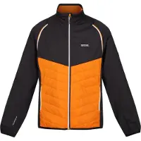 Regatta Steren Hybrid Softshell Jacket Orange 3XL Homme