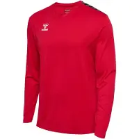 Hummel T-Shirt fonctionnel 'Authentic' canneberge