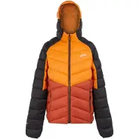 Regatta Dalent Jacket Orange 3XL Homme