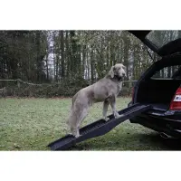 Nobby Hunderampe (Chien, Pliable)