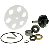 101 Octane Ip34590 Water Pump Rebuild Kit Argenté