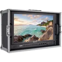 Seetec monitor P173-9HSD-CO 17.3" Carry-on (17.30", Full HD), Moniteur vidéo, Noir