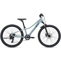 Liv Tempt 24´´ Disc Tourney 2026 Bike Bleu Garçon