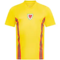 JELEX Pays de Galles "Retro History" Hommes Maillot