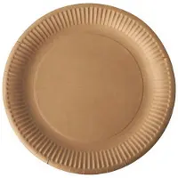 Papstar Pure (100x)