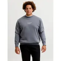 Jack & Jones Soho Plus Size Sweatshirt Gris 8XL / Regular Homme
