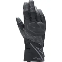 Alpinestars Stella Andes V2 Drystar Woman Gloves Noir L Femme