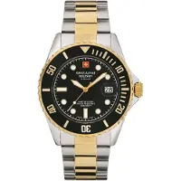 Swiss Alpine Military - 7053.1147 - Montre Bracelet - Hommes - Quartz - Master Diver