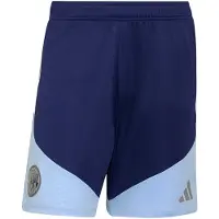 Adidas Pantalon de sport 'Ajax 26/27 Tiro26' bleu marine / bleu clair / gris