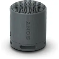 Sony SRS-XB100 Noir