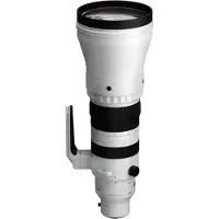 Sigma 300-600mm F/4 DG OS Sports monture L