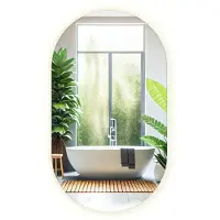 Tulup (40x70 cm) Miroir Salle De Bain Avec Lumière LED Neutre Forme Ovale Sans Cadre Décoratif