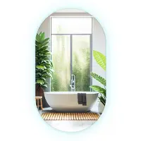 Drukarnia Piga (52x90 cm) Miroir Salle De Bain LED Ovale Allongé Lumière Froide Miroir Lumineux Design Moderne