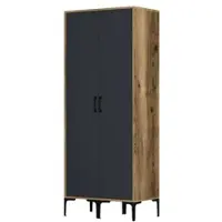 Dmora Acate - Armoire 2 Portes, 80x201h cm Noyer Marron, Penderie