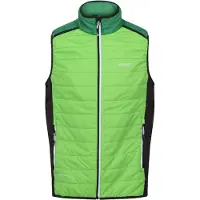 Regatta Halton Vii Vest Vert 2XL Homme