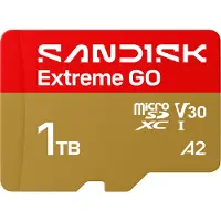 SanDisk Extreme GO, 1 To, MicroSDXC, UHS-I, 240 Mo/s, 160 Mo/s, Classe 3 (U3)