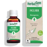 Herbalgem Pranarom - Bourgeon de figuier -- 30 ml