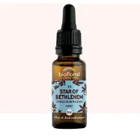 Biofloral 29 - Star of Bethhleem - Etoile de Bethléem - 20 ml 20 ml Goutte(S)