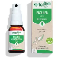 Herbalgem - Figuier Bio - Complément Alimentaire - Extrait De Bourgeon Frais - Pour Digestion - - 15 ml 15 ml Spray