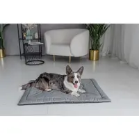 Welsti Lit pour chien pour chats, tapis pour chien, gris L 100x70