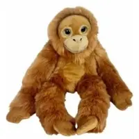 Dubi Orang-outan aux grands yeux 50cm