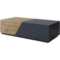 Mirjan 24 Table basse Ceelias, table basse moderne pour salon avec espace de rangement, table basse industrielle (couleur : Wotan / anthracite)