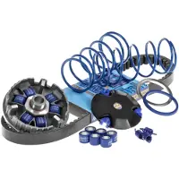 Polini 241.670.1 Variator Kit Argenté