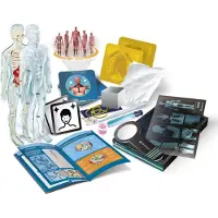 Clementoni Super Anatomy Educational Toy Clair Enfants