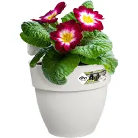 Elho Pot de Plante Elho Vibia Blanc 24,1 x 20,5 x 26,5 cm