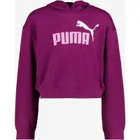 Puma Essential 2 Color Nº1 Logo Short Length Tr Hoodie Violet 15-16 Years Fille
