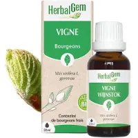 Herbalgem - Vigne Bio - Complément Alimentaire - Extrait De Bourgeon Frais - Sante circulatoir, drainage, antioxidant, sante peau - - 30 ml 30 ml Goutte(S)