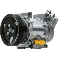 Delphi CS20651 6V12 Climatisation Compresseur de climatisation PAG 46 pour RENAULT Clio III bicorps (BR0/1, CR0/1) TWINGO II (CN0) MODUS / GRAND MODUS (F/JP0)