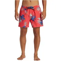 Quiksilver Maillot de bain Mix Volley 15 - Bañador pour Homme