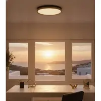 Lyora Plafonnier Cantria noir avec or Ø 50cm