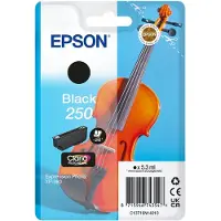 Epson 250 (C13T16N14010) - Noir - Cartouche d'encre