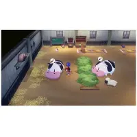 Story Of Seasons: Grand Bazaar PS5