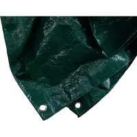 Siena Garden bâche de protection PE, 6 x 8 m, vert (1 pièce)