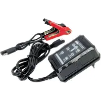 Baas 6+12 V Charger Argenté
