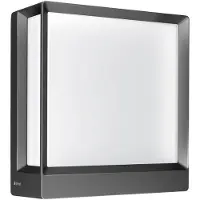 Steinel Luminaires d'extérieur , L 40 C Bluetooth, Noir, Balcon, Métal