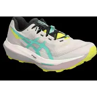 Asics Fujispeed 4 Running Shoes Gris EU 42