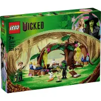 LEGO Wicked Wicked (75687, Wicked)