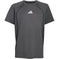 Adidas T-Shirt fonctionnel 'Tech Apparel' pierre / gris clair