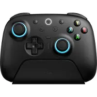 8Bitdo Ultimate 2 Wireless 2.4G Schwarz (PC/Android)