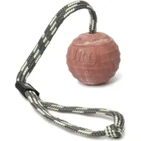 Julius-K9 K9 IDC-Ball w/string diam.: 2,3" / 60mm - (w/closable handle (Jouet de balle pour chiens)