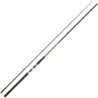 Daiwa Megaforce Big Fish Welsrute Argenté, 2,60 m / 80-180 g, couleur argentée