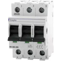 Doepke Interrupteur principal RH 063-300