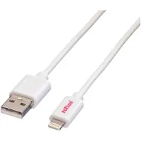 Roline Câble USB pour Apple avec connecteur Lightning, 1m (11.02.8321)