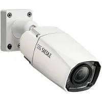 Siedle CE 600-02 Caméra externe sans système avec commutation automatique jour/nuit