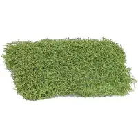 Busch Tapis d'arbustes printemps. Dimensions, 120 x 80 mm, hauteur, 35 mm