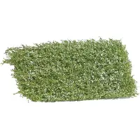 Busch Tapis d'arbustes à fleurs. Dimensions, 120 x 80 mm, hauteur, 35 mm